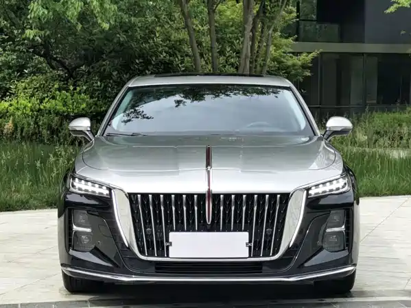 Hongqi H5 2024
