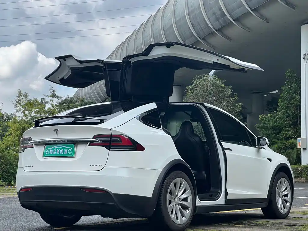 Tesla Model X 2018 — фото 13