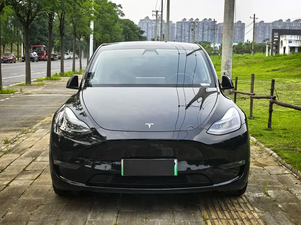 Tesla Model Y 2021 — фото 3
