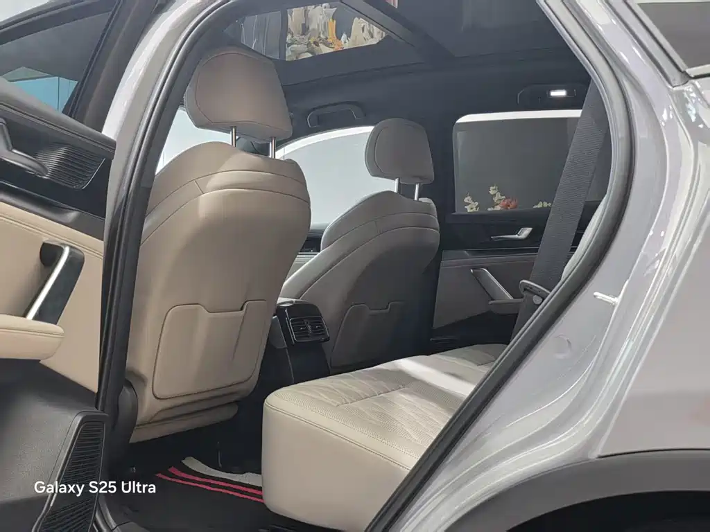 BYD Tang New Energy 2024