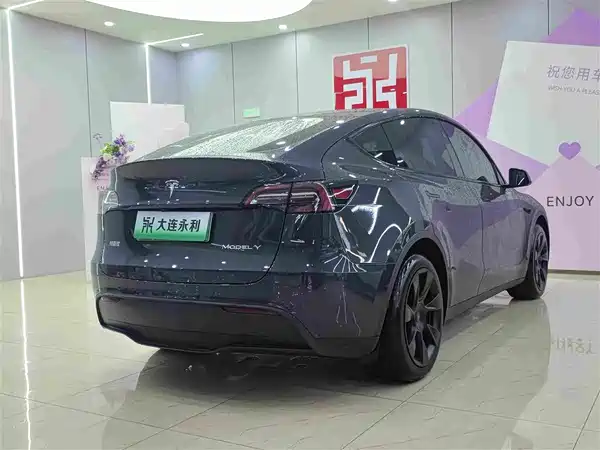 Tesla Model Y 2024