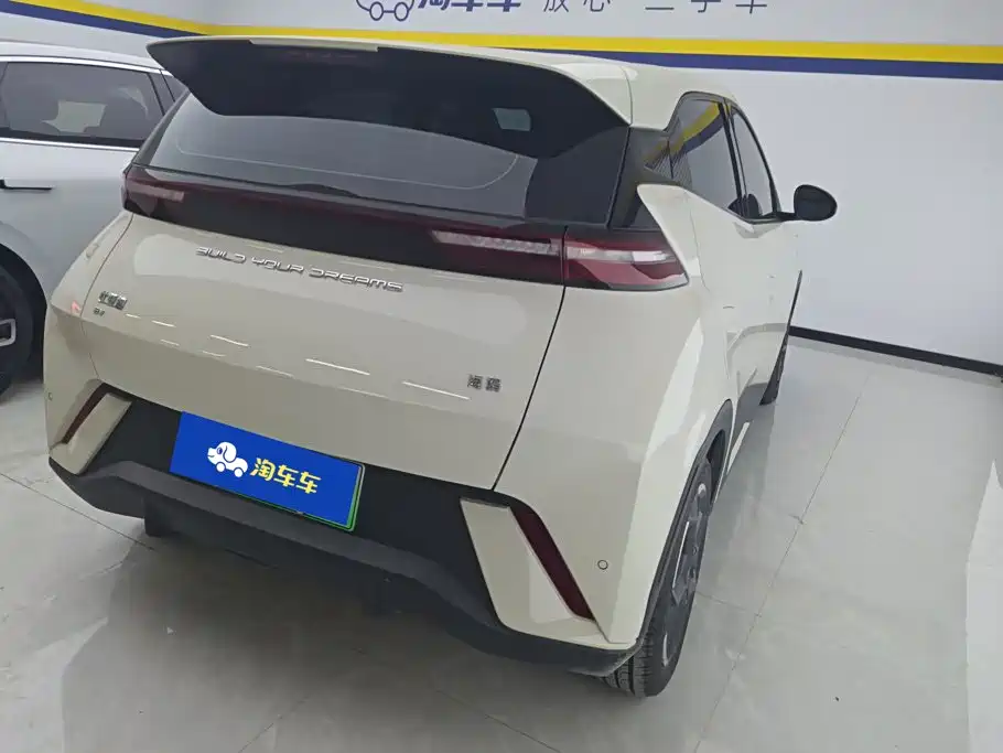BYD Seagull 2024