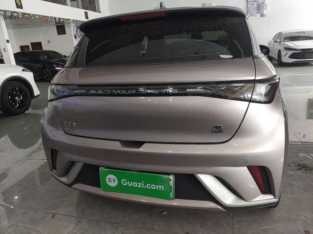 BYD Dolphin 2022