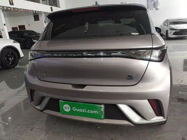 BYD Dolphin 2022
