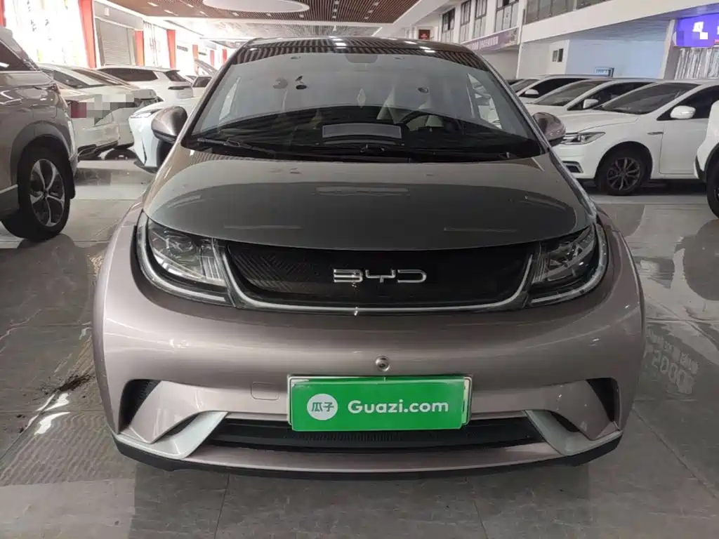 BYD Dolphin 2022