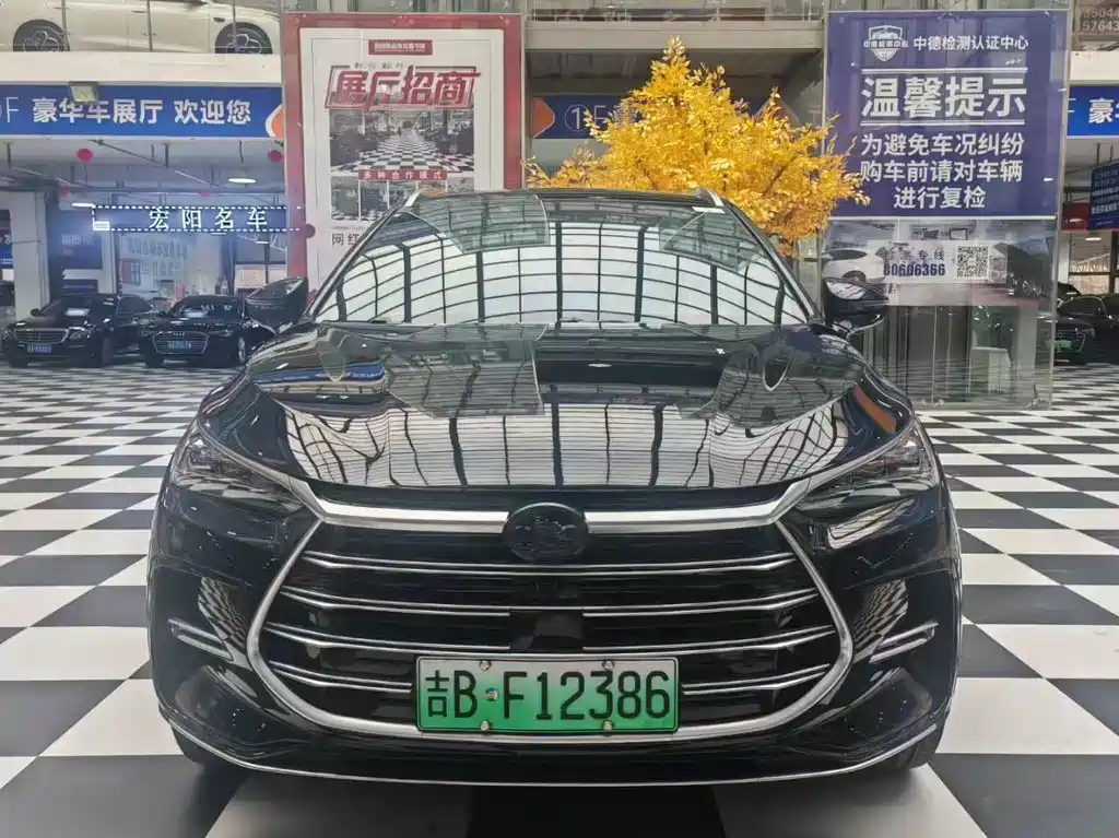 BYD Tang New Energy 2024 — фото 2