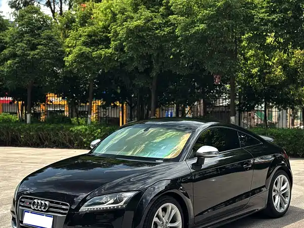 Audi TTS 2013