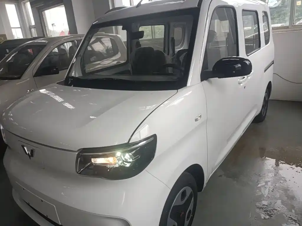 Wuling Zhiguang New Energy 2026