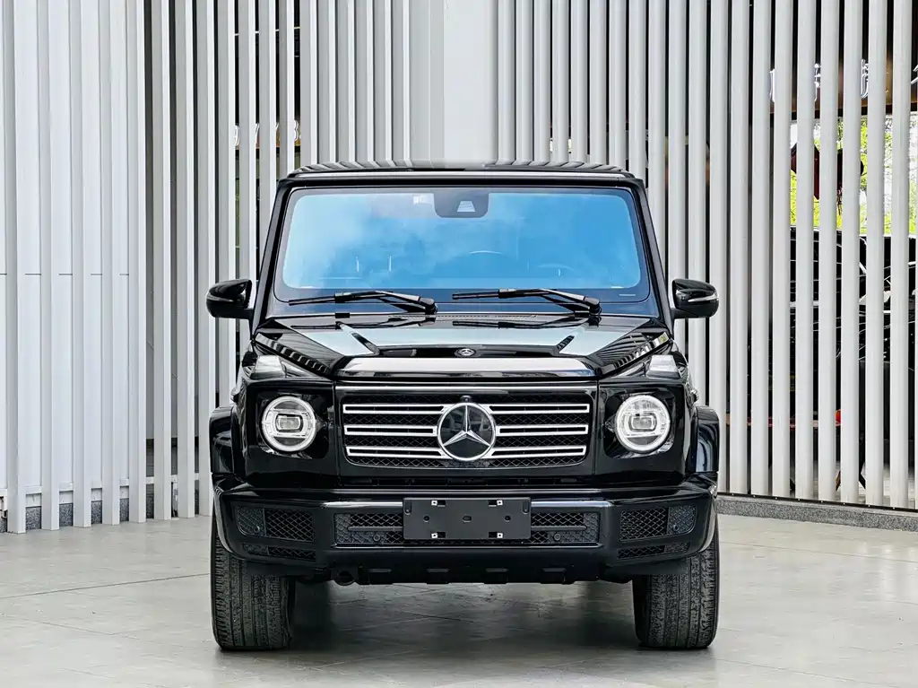 Mercedes-Benz G-Class 2020 — фото 2