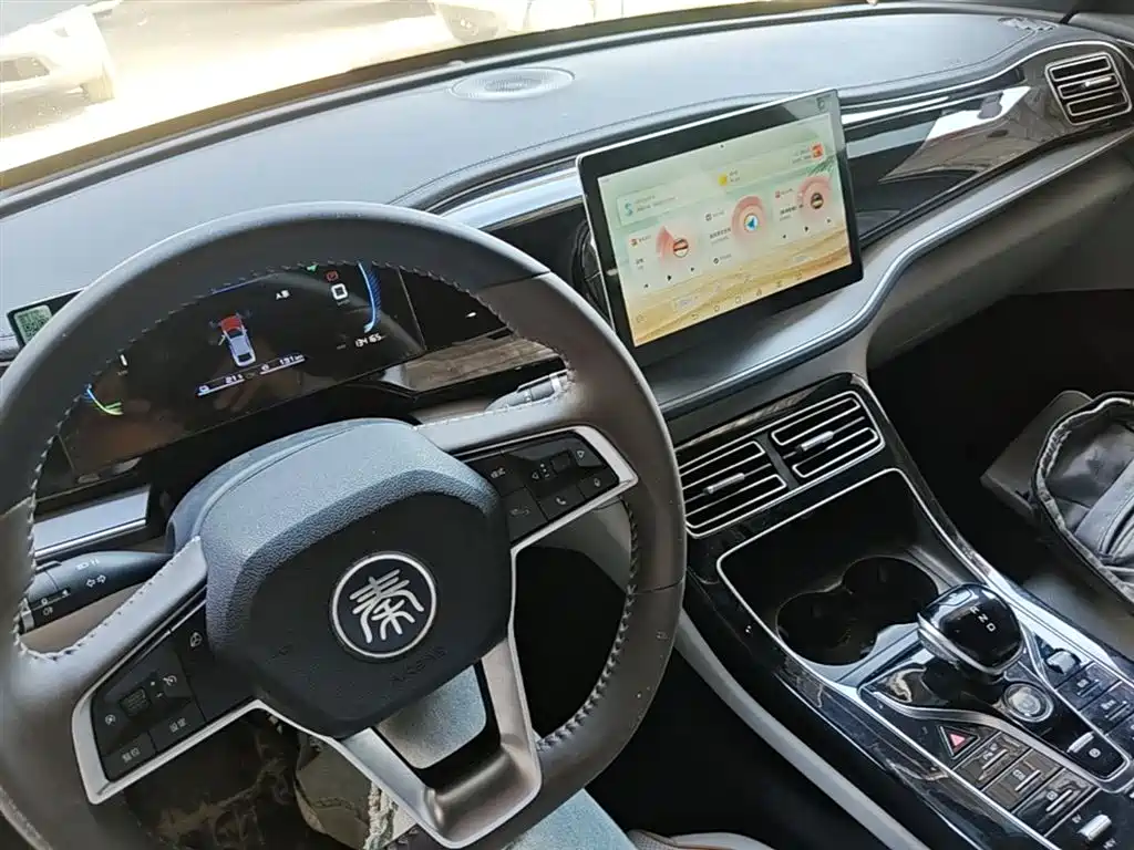 BYD Qin PLUS 2024 — фото 10