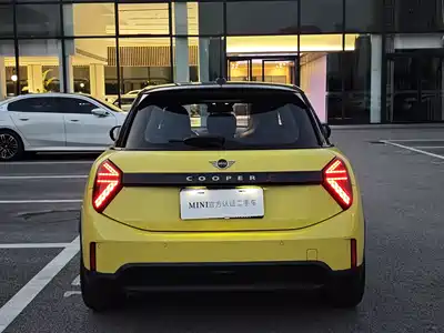 MINI MINI 2025