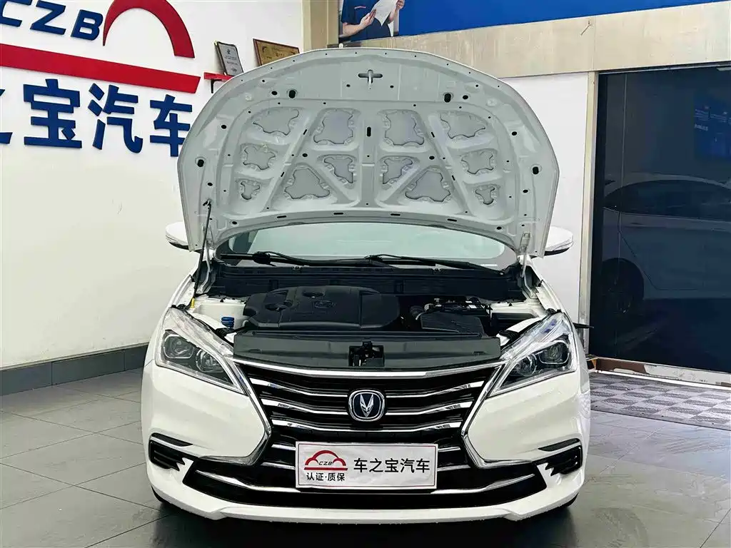 Changan Eado DT 2020 — фото 26