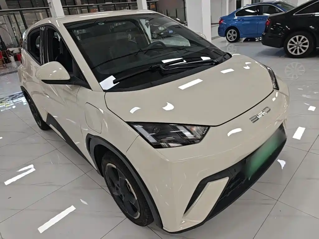 BYD Seagull 2024