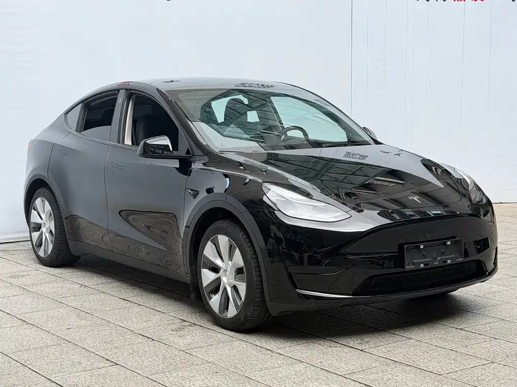 Tesla Model Y 2023 — фото 2