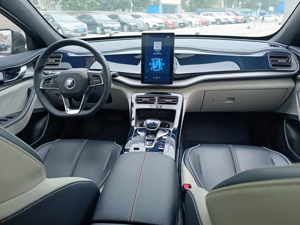 BYD Qin PLUS 2024 — фото 21
