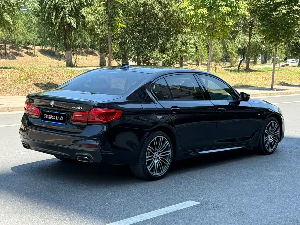 BMW 5 Series 2019