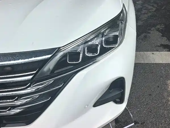 GAC Trumpchi GS5 2019