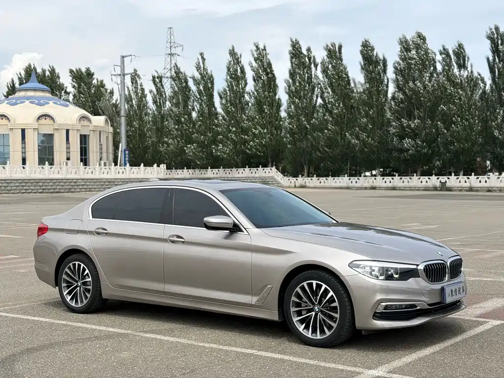 BMW 5 Series 2019