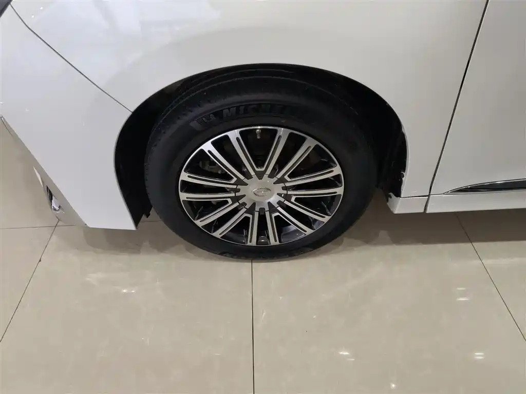 GAC Motor Trumpchi M8 2022 — фото 23
