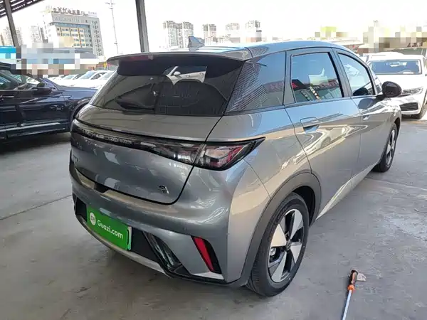 BYD Dolphin 2024