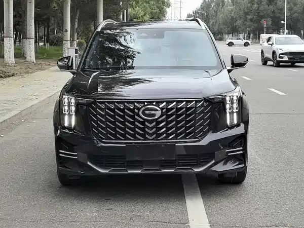 GAC Trumpchi GS8 2022