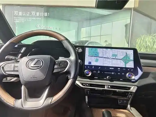 Lexus RX New Energy 2023 — фото 15