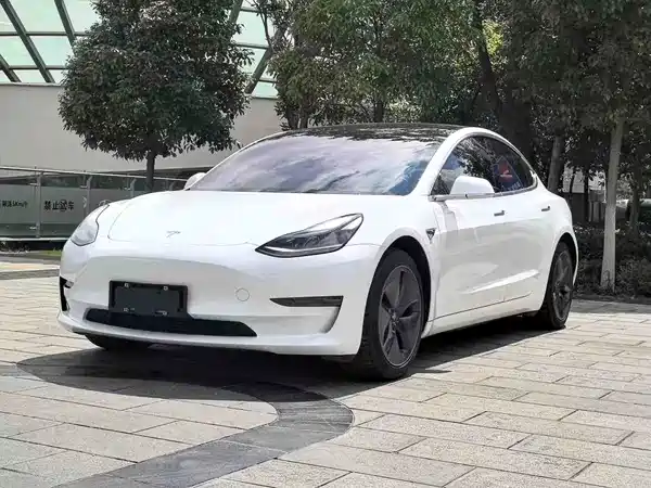 Tesla Model 3 2020