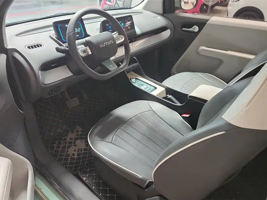 Qiyuan Lumin 2023 — фото 9