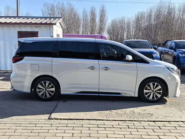 GAC Trumpchi M8 2020