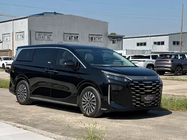 BYD Summer 2025
