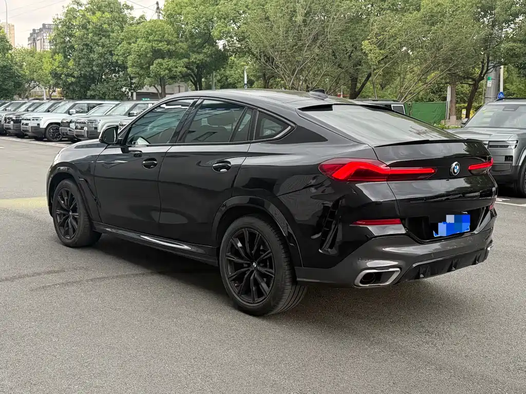 BMW X6 2020 — фото 17