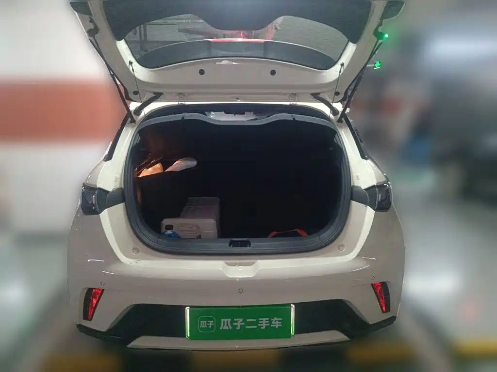 BYD Dolphin 2024 — фото 15
