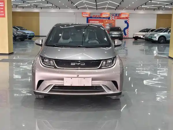 BYD Dolphin 2021