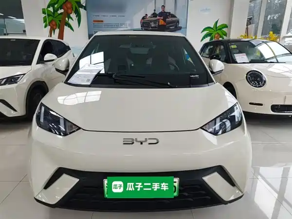 BYD Seagull 2024