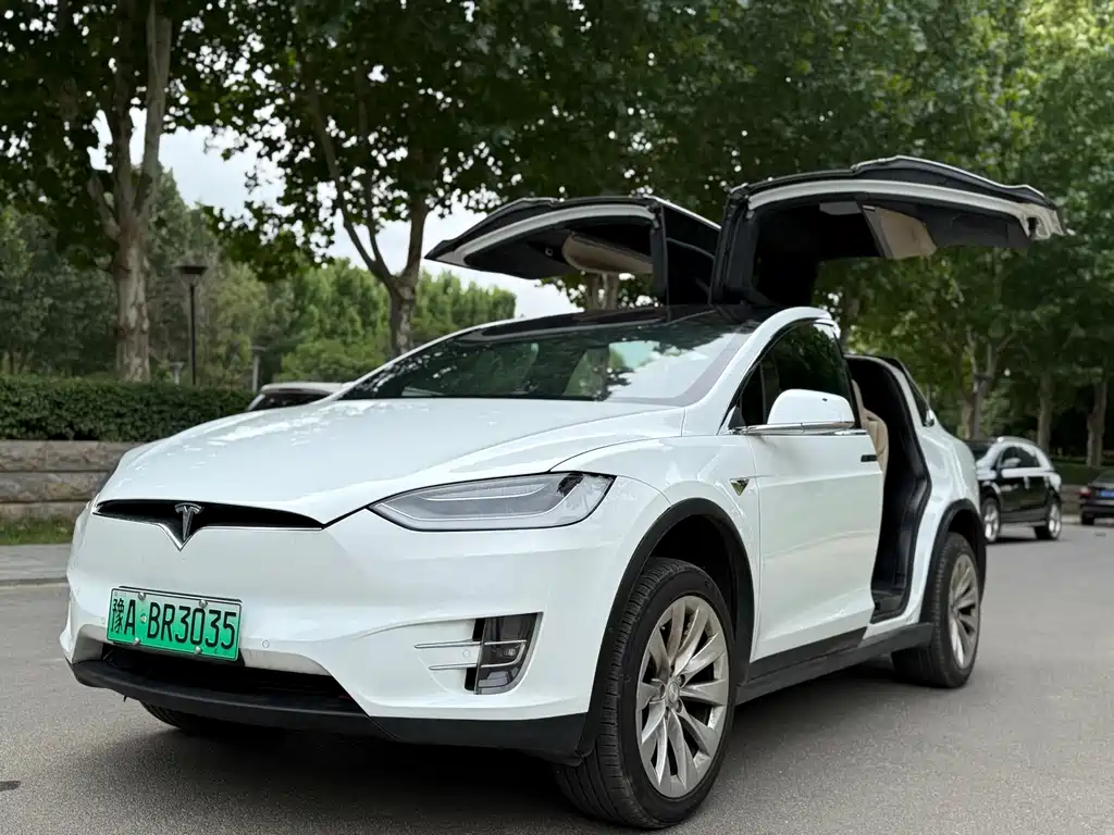 Tesla Model X 2017 — фото 10