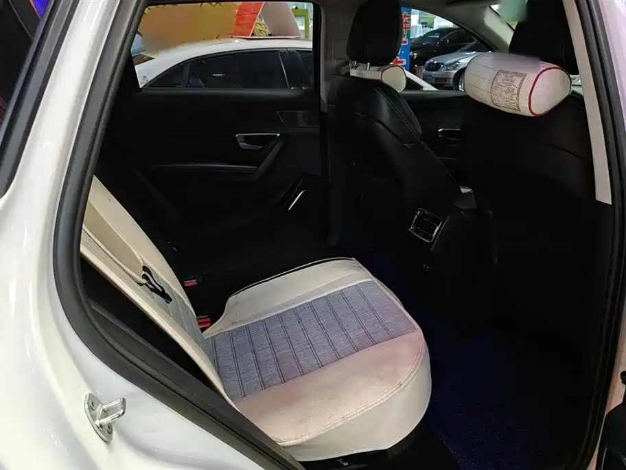 BYD Pro New Energy 2020 — фото 12