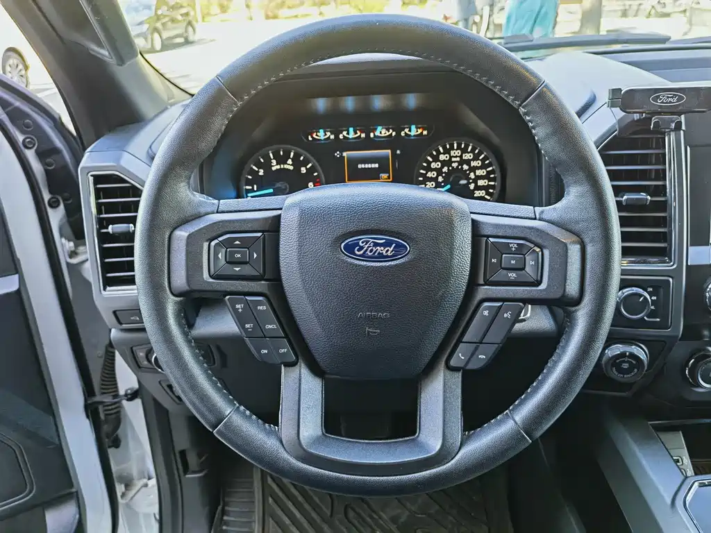 Ford F-150 Raptor 2020 — фото 14