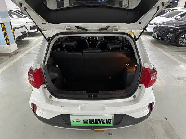 BAIC New Energy EC5 2021
