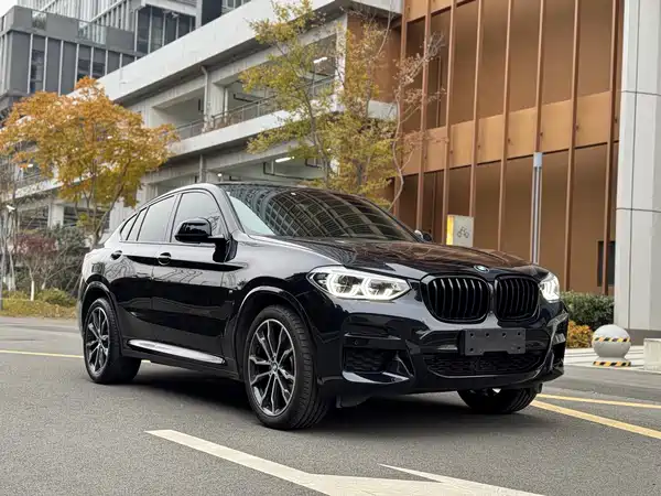 BMW X4 2021