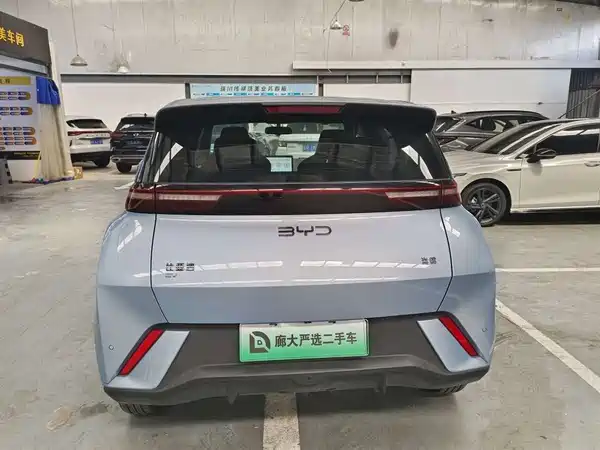BYD Seagull 2024