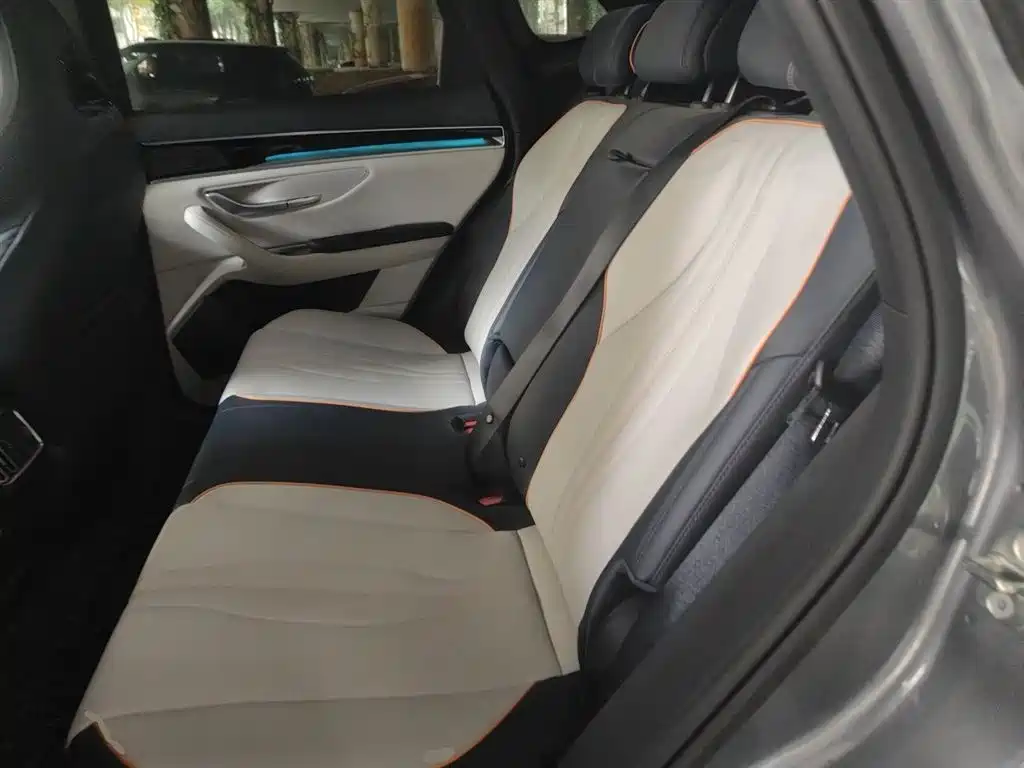 BYD PLUS New Energy 2023 — фото 18