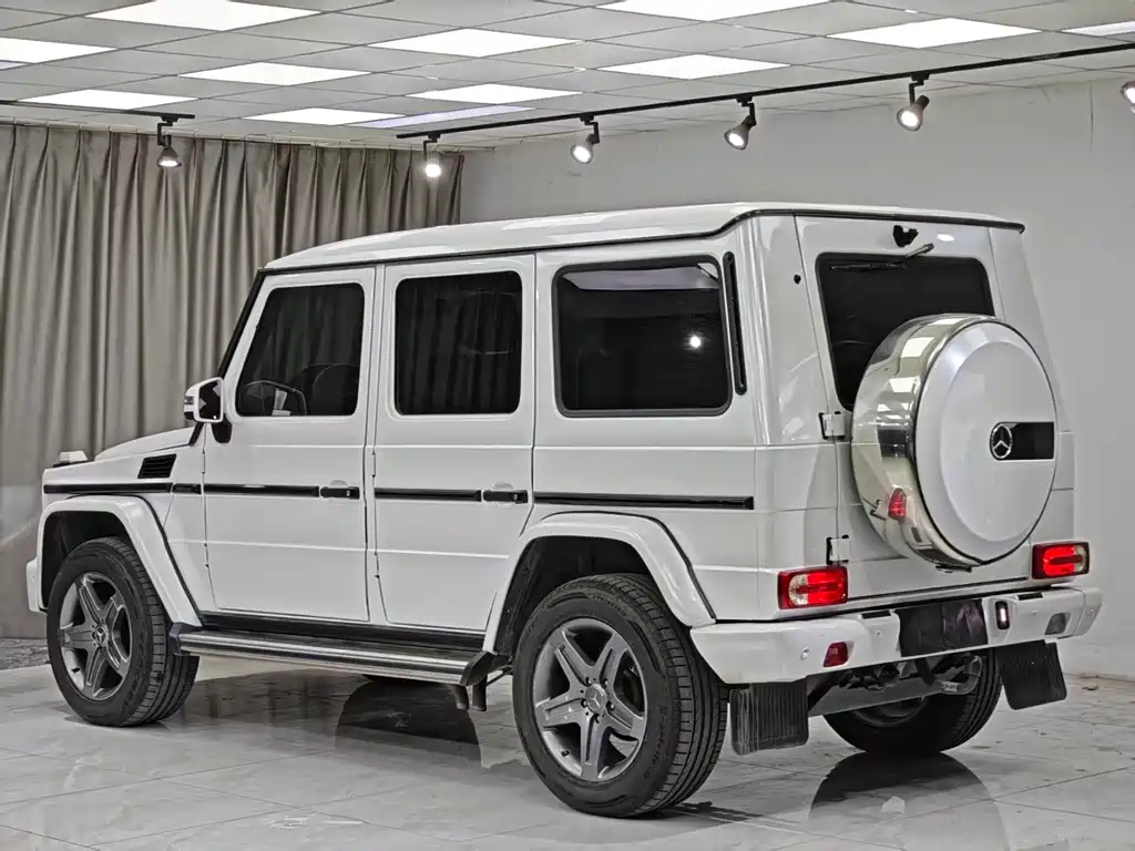 Mercedes-Benz G-Class 2017 — фото 10