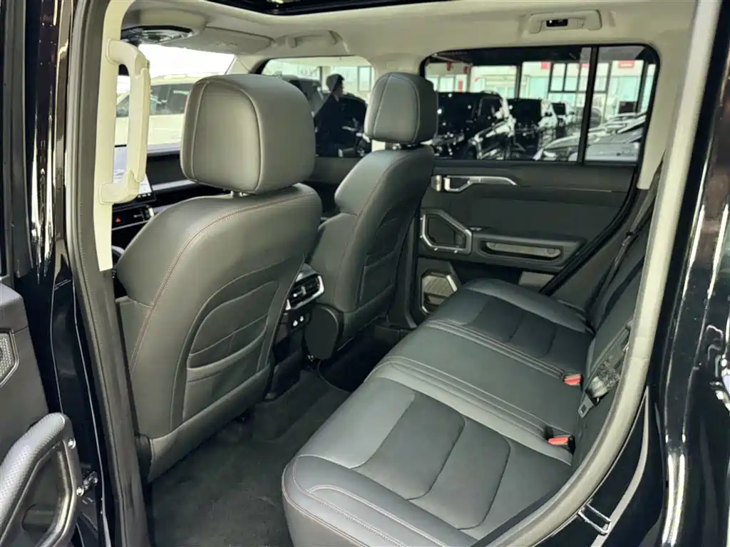 Shanhai Traveller C-DM 2025 — фото 27