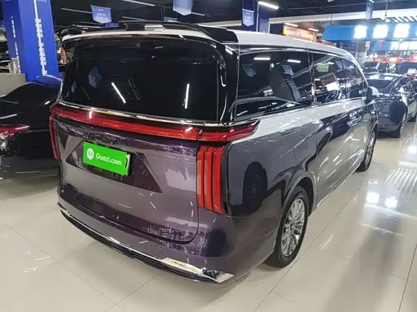 Wey Wey 2025