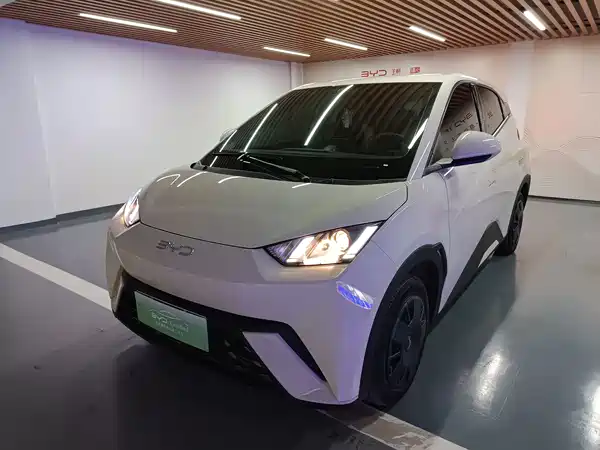 BYD Seagull 2024