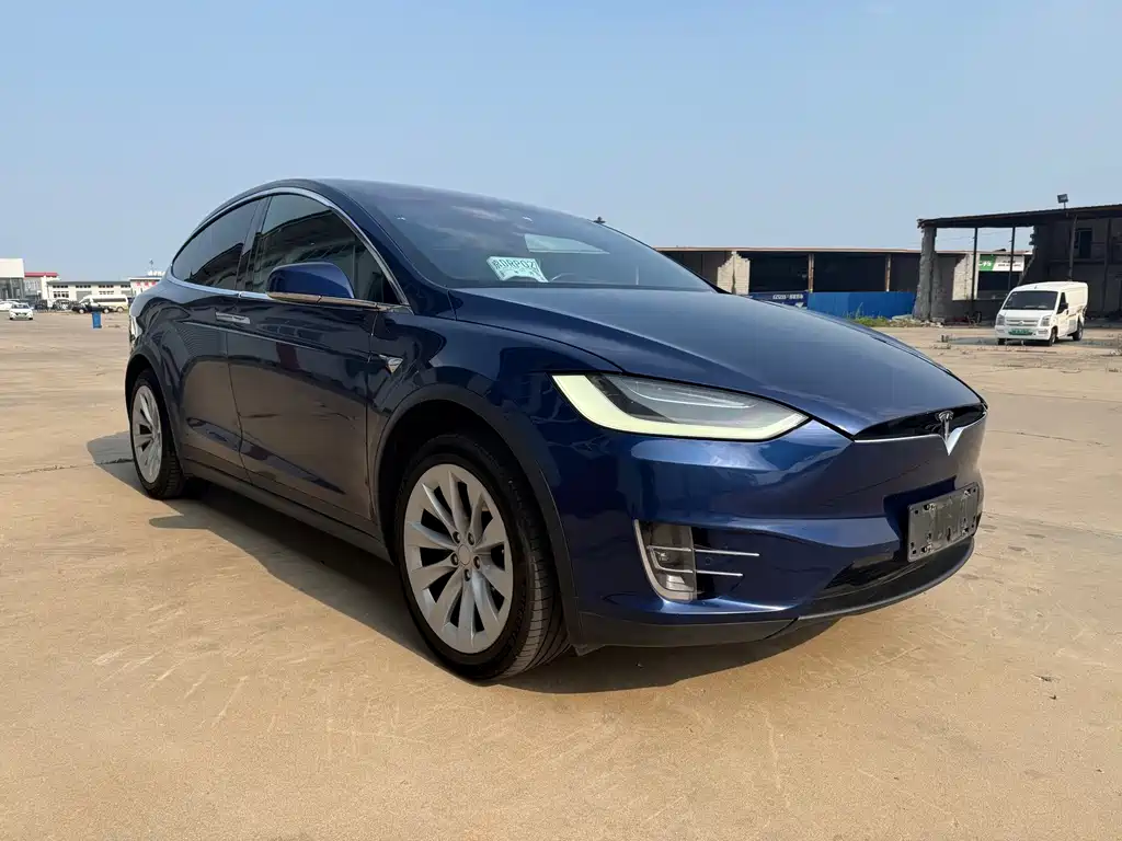 Tesla Model X 2021 — фото 3