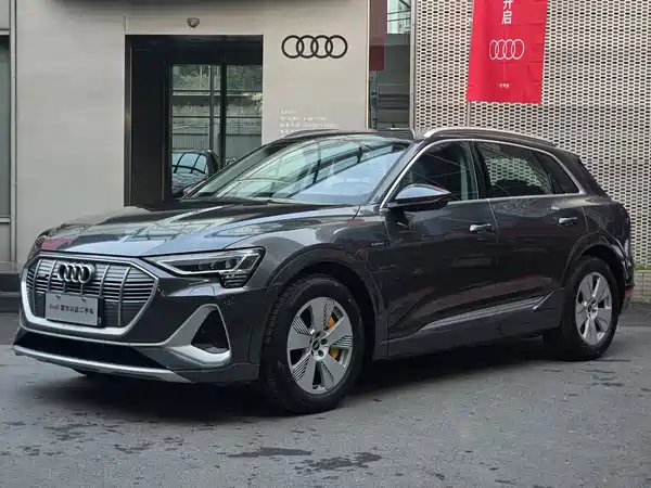 Audi e-tron 2021