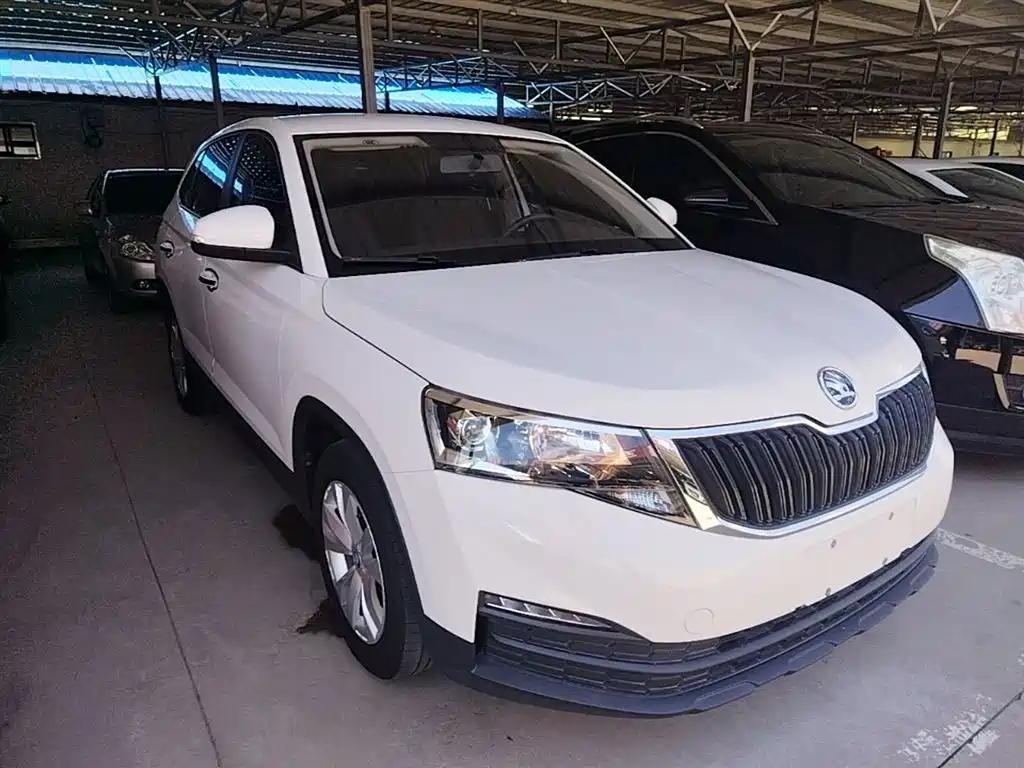 Skoda Kamiq 2021 — фото 4
