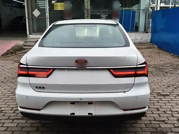 BYD Qin 2019