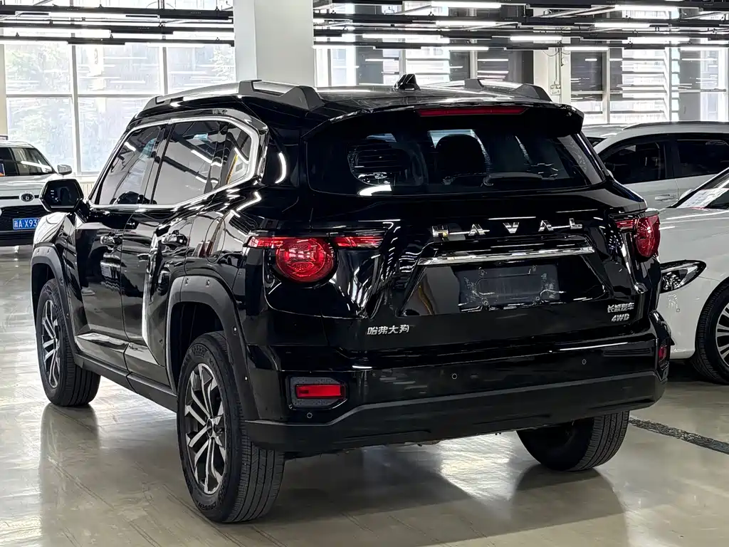 Haval Dog PLUS 2023 — фото 15